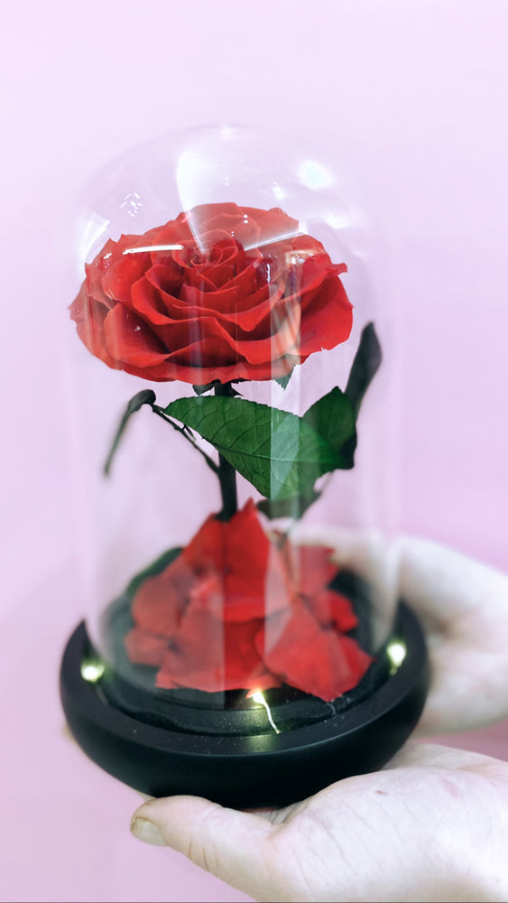 ROSE DOME