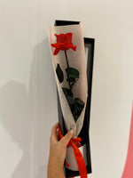 PRESERVED ROSE